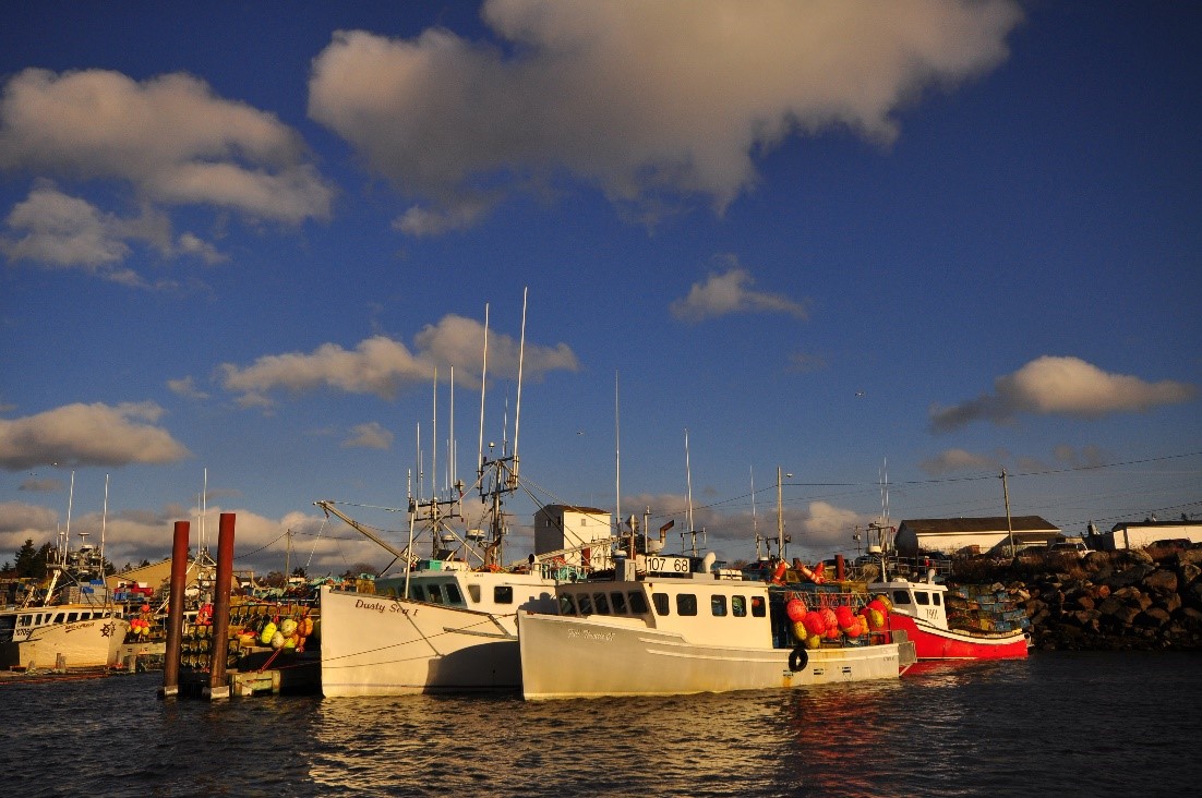 Wedgeport Boats